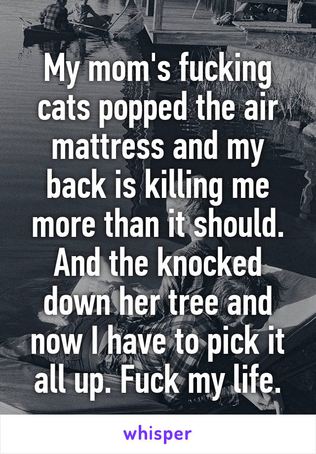 My mom's fucking cats popped the air mattress and my back is killing me more than it should. And the knocked down her tree and now I have to pick it all up. Fuck my life.