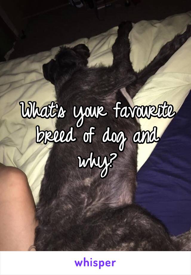 What's your favourite breed of dog and why?