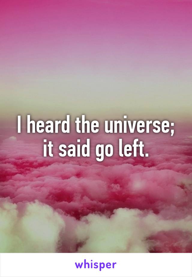 I heard the universe; it said go left.