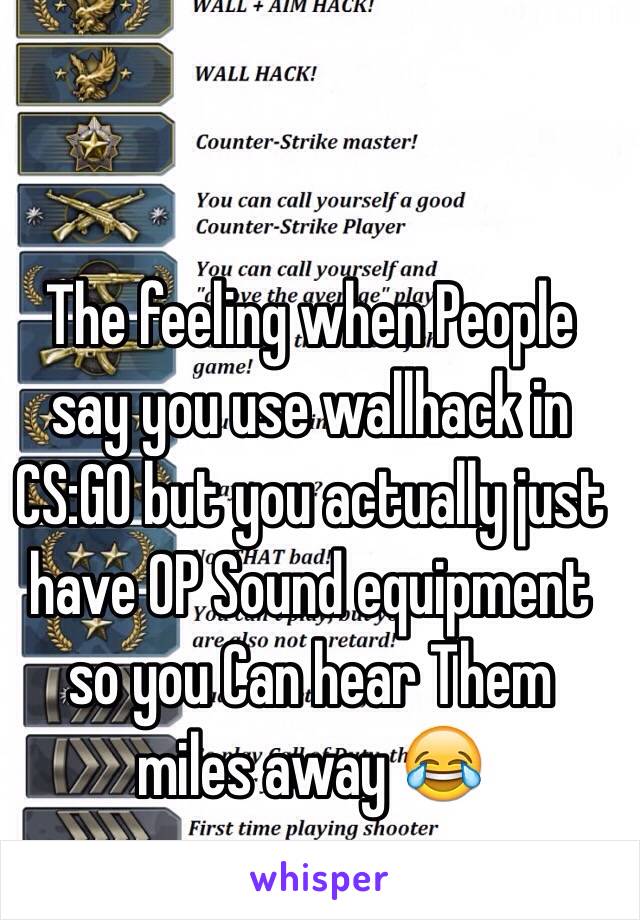 The feeling when People say you use wallhack in CS:GO but you actually just have OP Sound equipment so you Can hear Them miles away 😂