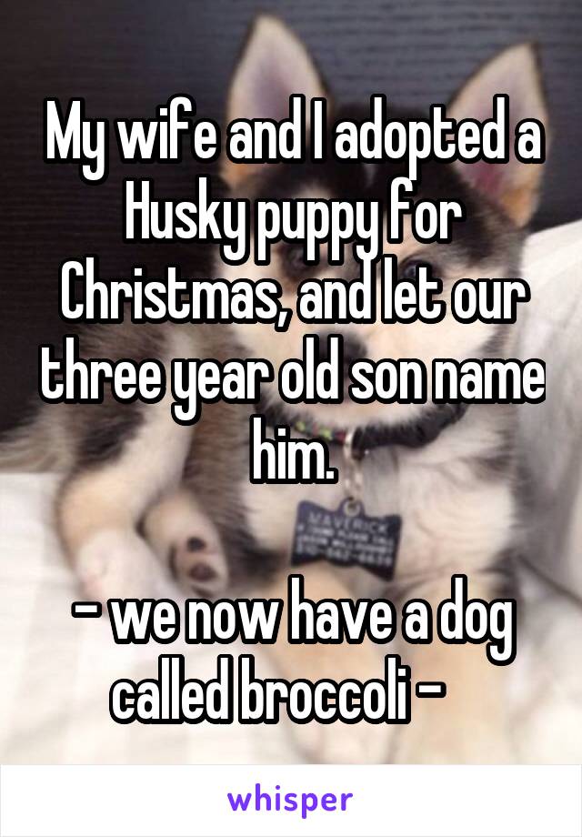 My wife and I adopted a Husky puppy for Christmas, and let our three year old son name him.

- we now have a dog called broccoli -   