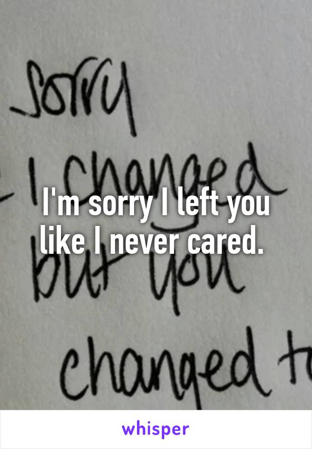 I'm sorry I left you like I never cared. 