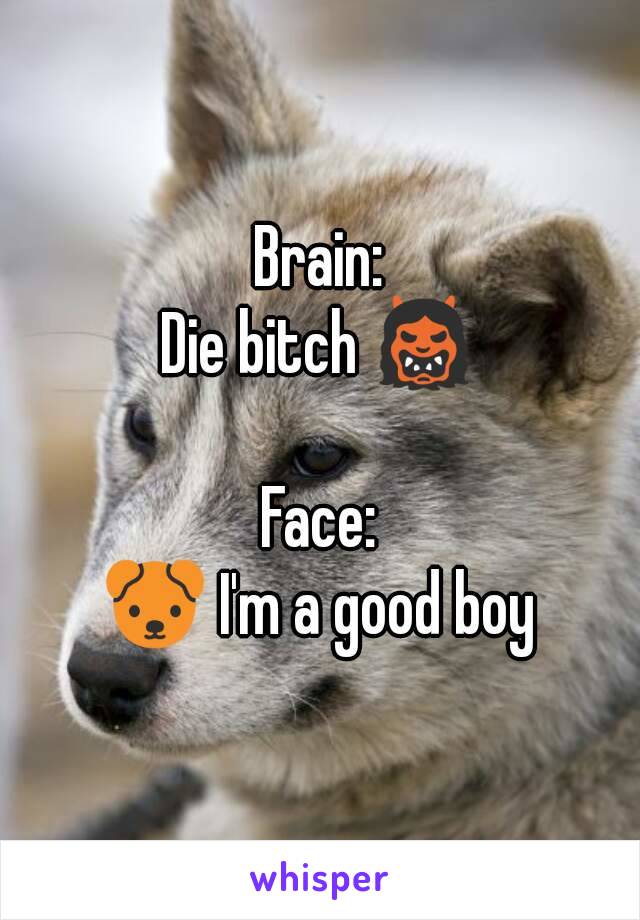 Brain:
Die bitch 👹

Face:
🐶 I'm a good boy