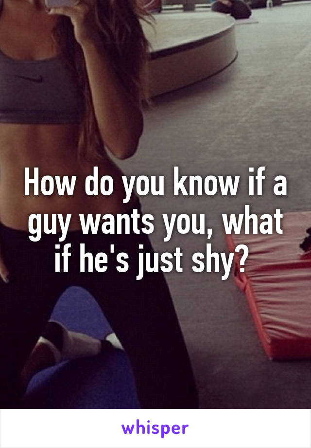 How do you know if a guy wants you, what if he's just shy? 