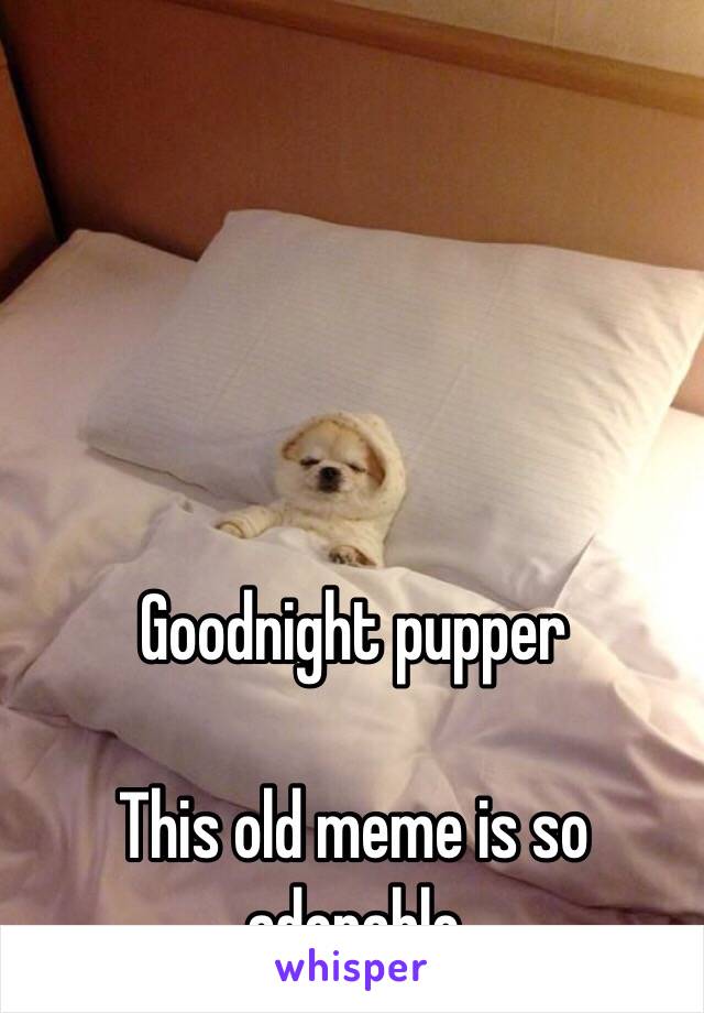 Goodnight pupper

This old meme is so adorable 