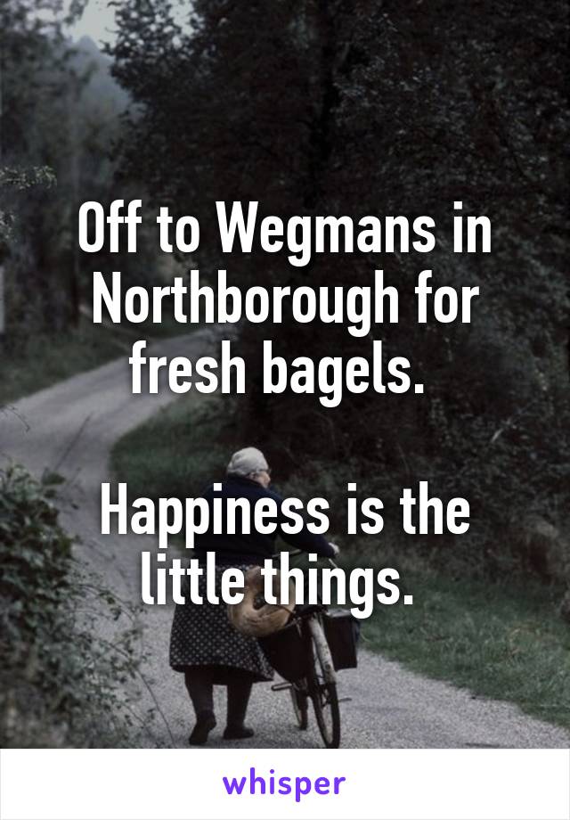 Off to Wegmans in Northborough for fresh bagels. 

Happiness is the little things. 