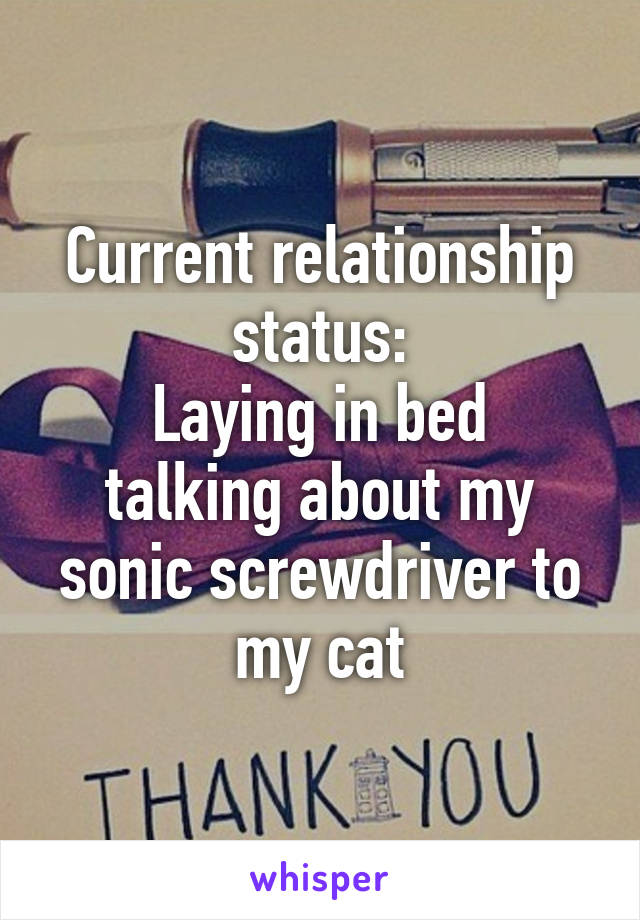 Current relationship status:
Laying in bed talking about my sonic screwdriver to my cat