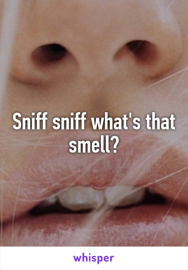 Sniff sniff what's that smell?