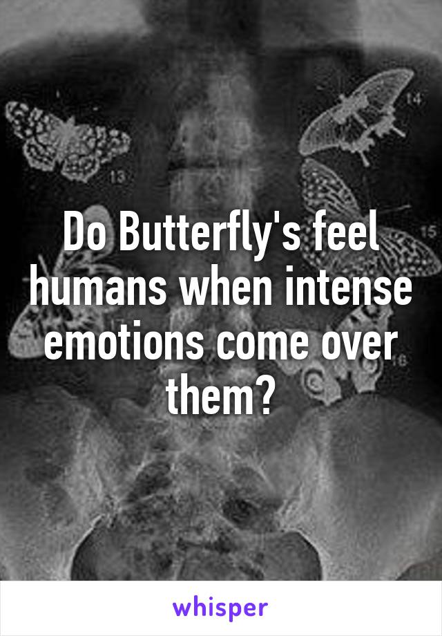 Do Butterfly's feel humans when intense emotions come over them?