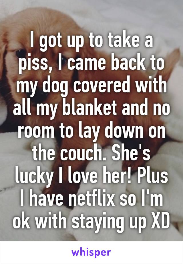 I got up to take a piss, I came back to my dog covered with all my blanket and no room to lay down on the couch. She's lucky I love her! Plus I have netflix so I'm ok with staying up XD