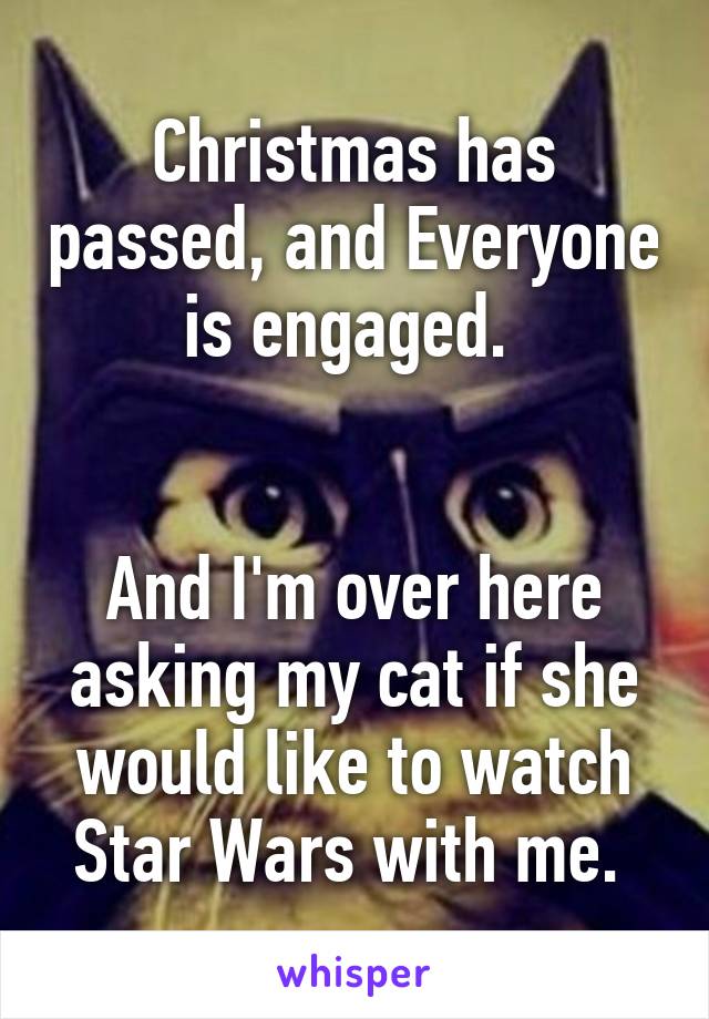 Christmas has passed, and Everyone is engaged. 


And I'm over here asking my cat if she would like to watch Star Wars with me. 