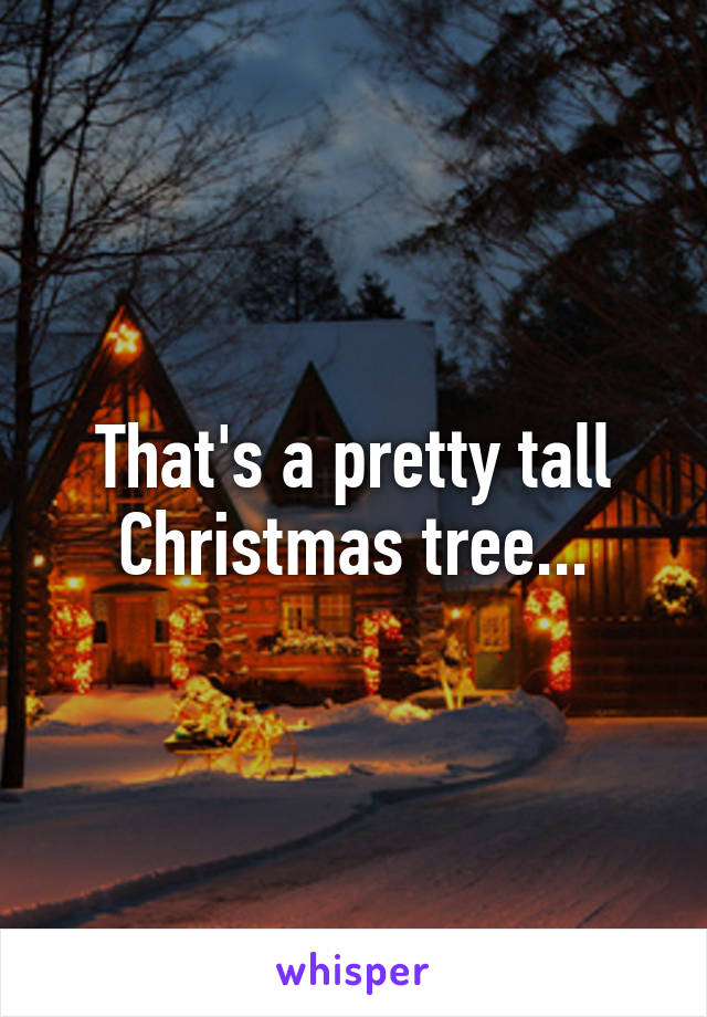 That's a pretty tall Christmas tree...