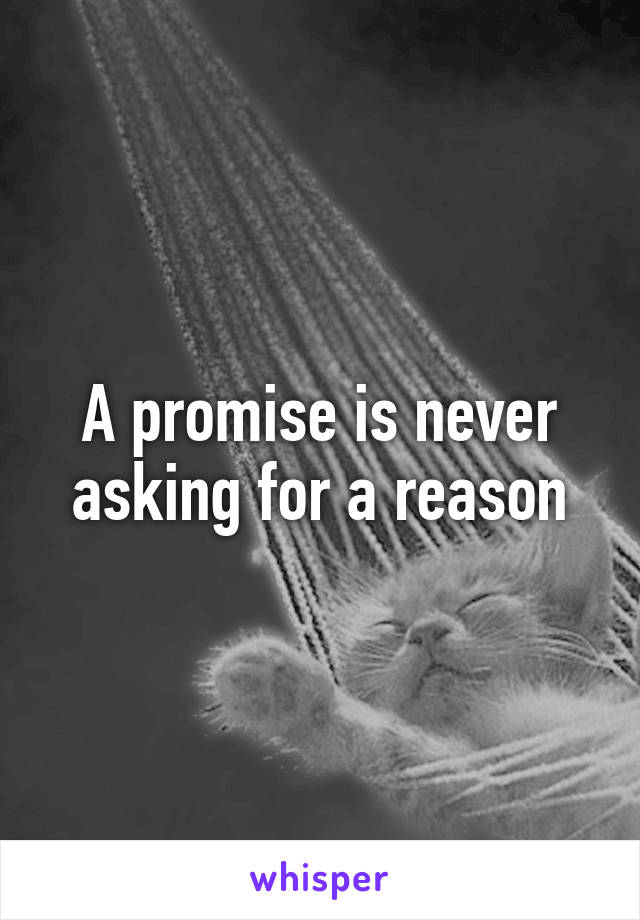 A promise is never asking for a reason