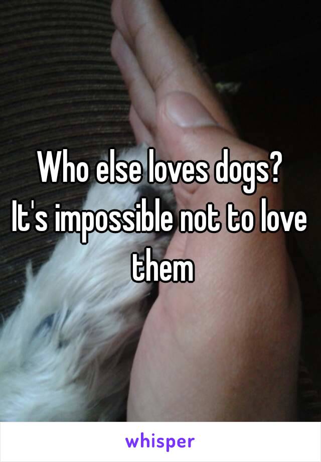 Who else loves dogs?
It's impossible not to love them