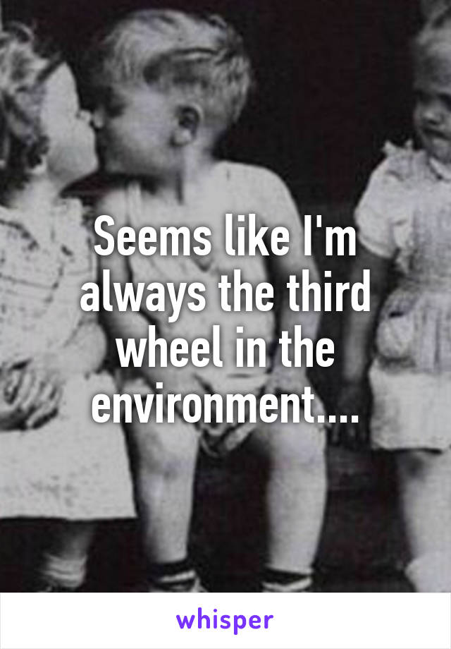 Seems like I'm always the third wheel in the environment....