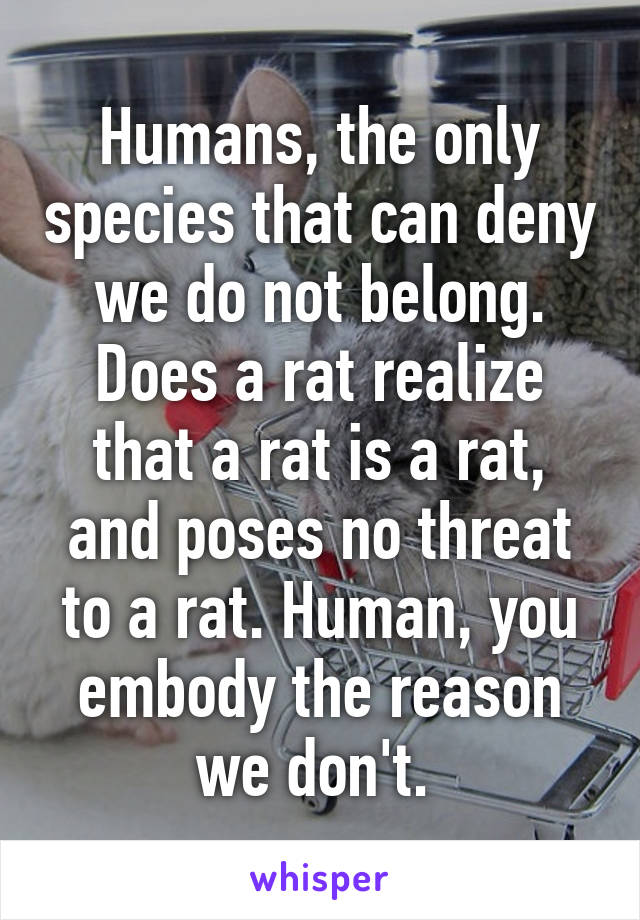 Humans, the only species that can deny we do not belong. Does a rat realize that a rat is a rat, and poses no threat to a rat. Human, you embody the reason we don't. 