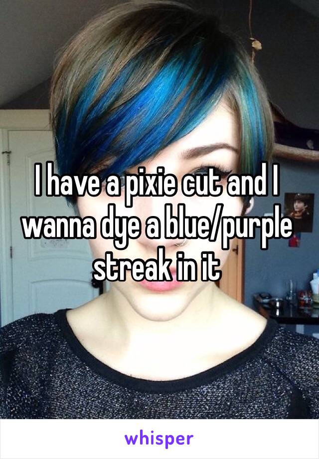 I have a pixie cut and I wanna dye a blue/purple streak in it