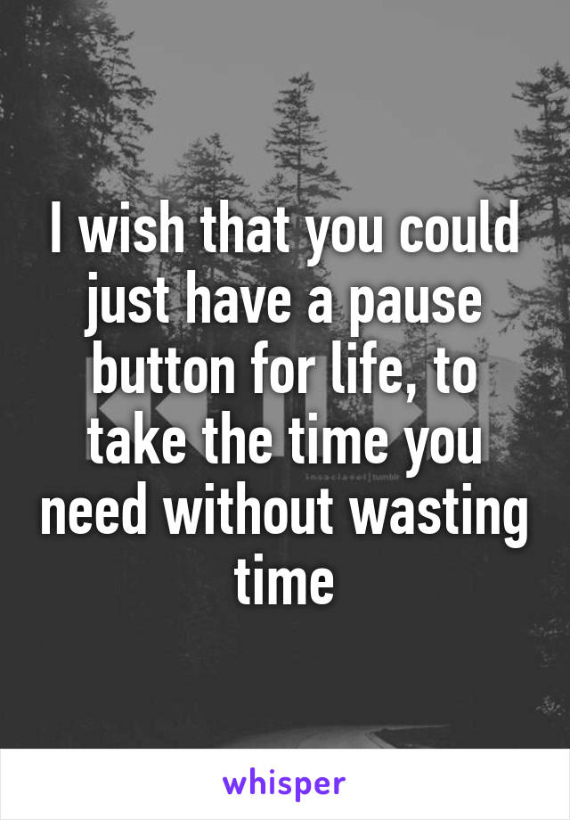 I wish that you could just have a pause button for life, to take the time you need without wasting time