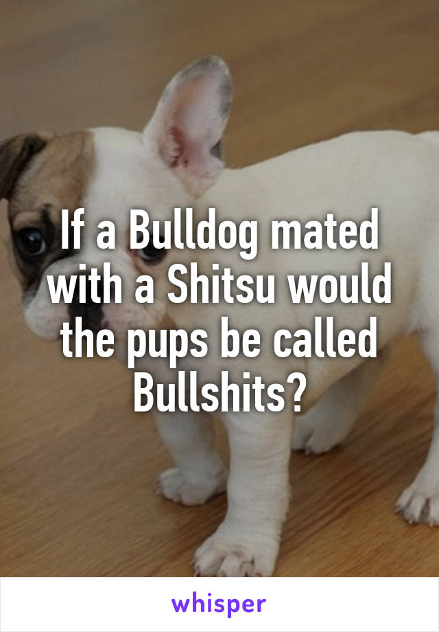 If a Bulldog mated with a Shitsu would the pups be called Bullshits?