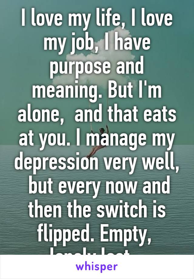 I love my life, I love my job, I have purpose and meaning. But I'm alone,  and that eats at you. I manage my depression very well,  but every now and then the switch is flipped. Empty,  lonely lost...