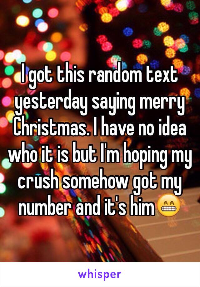 I got this random text yesterday saying merry Christmas. I have no idea who it is but I'm hoping my crush somehow got my number and it's him😁