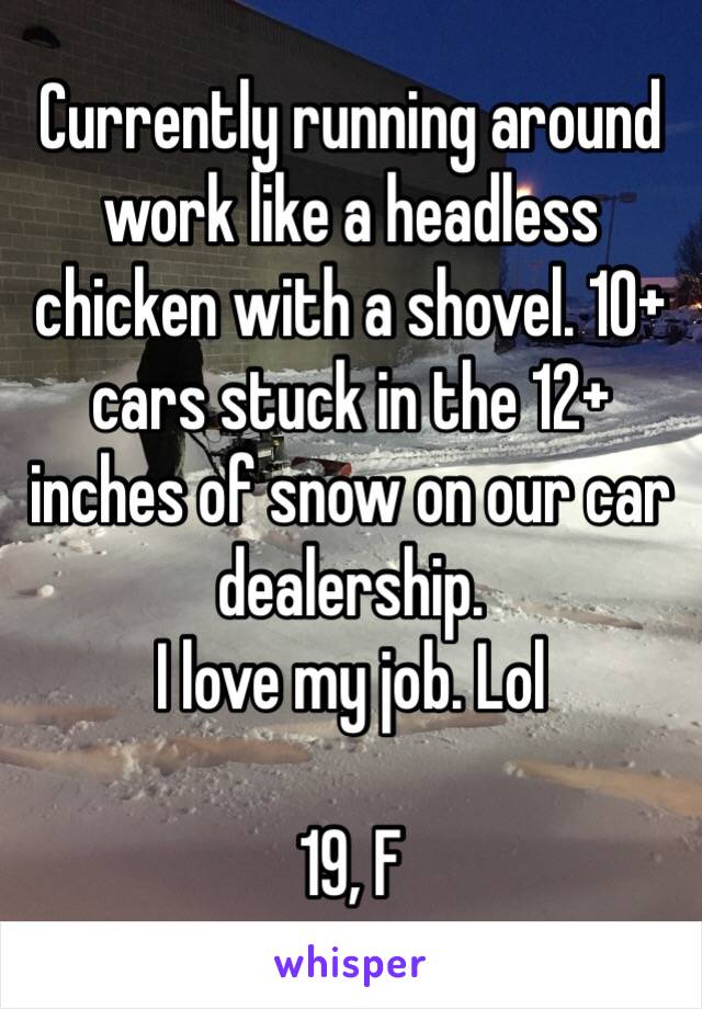 Currently running around work like a headless chicken with a shovel. 10+ cars stuck in the 12+ inches of snow on our car dealership. 
I love my job. Lol

19, F 