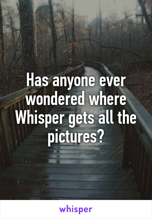 Has anyone ever wondered where Whisper gets all the pictures?