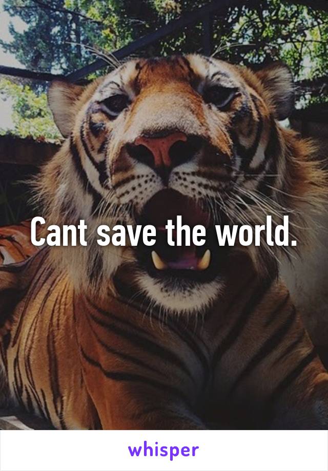 Cant save the world.