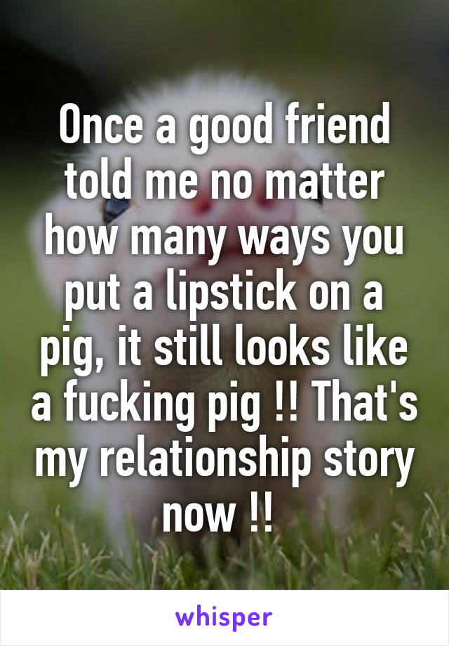 Once a good friend told me no matter how many ways you put a lipstick on a pig, it still looks like a fucking pig !! That's my relationship story now !! 