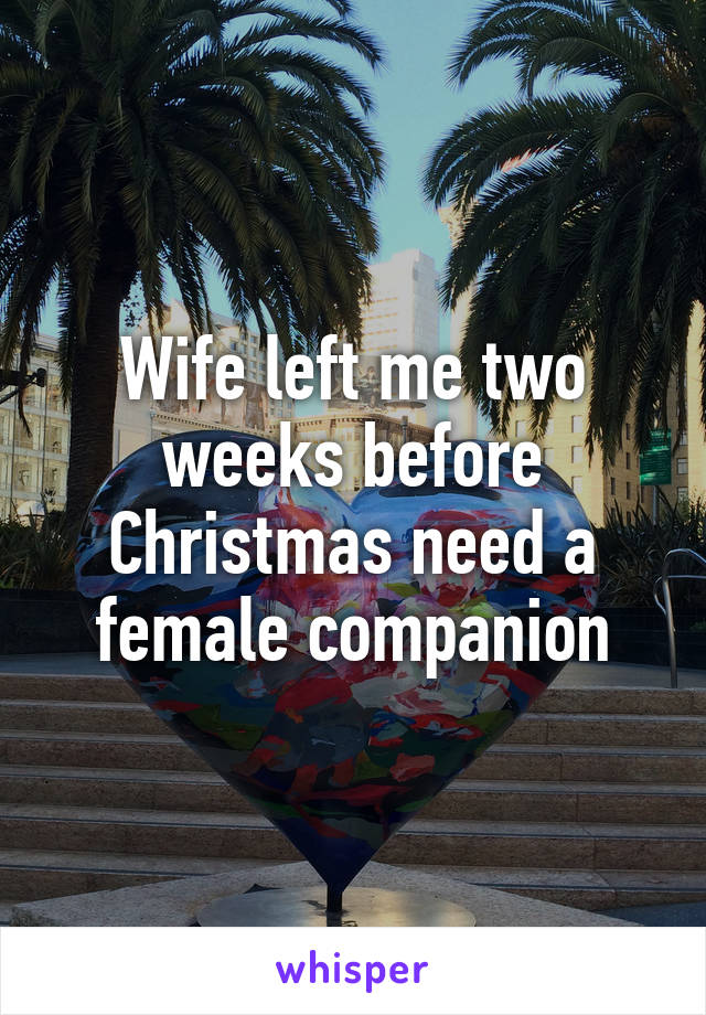 Wife left me two weeks before Christmas need a female companion