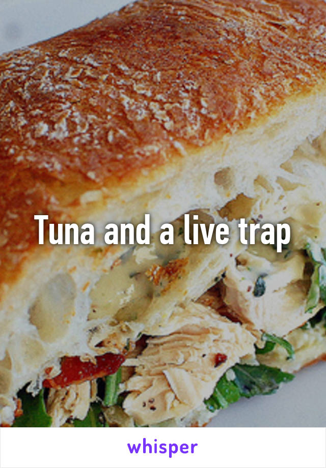 Tuna and a live trap