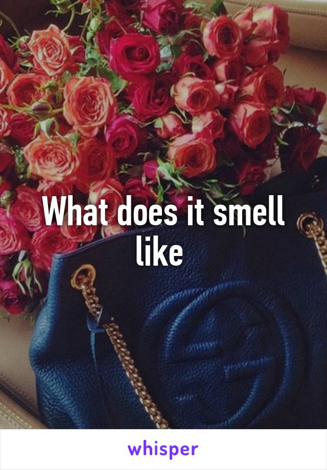 What does it smell like 