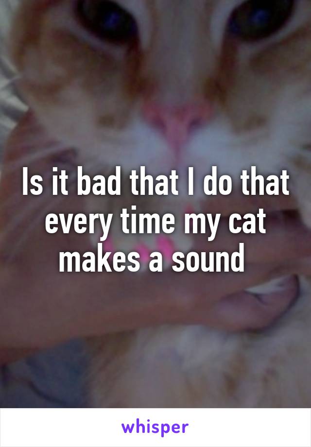 Is it bad that I do that every time my cat makes a sound 