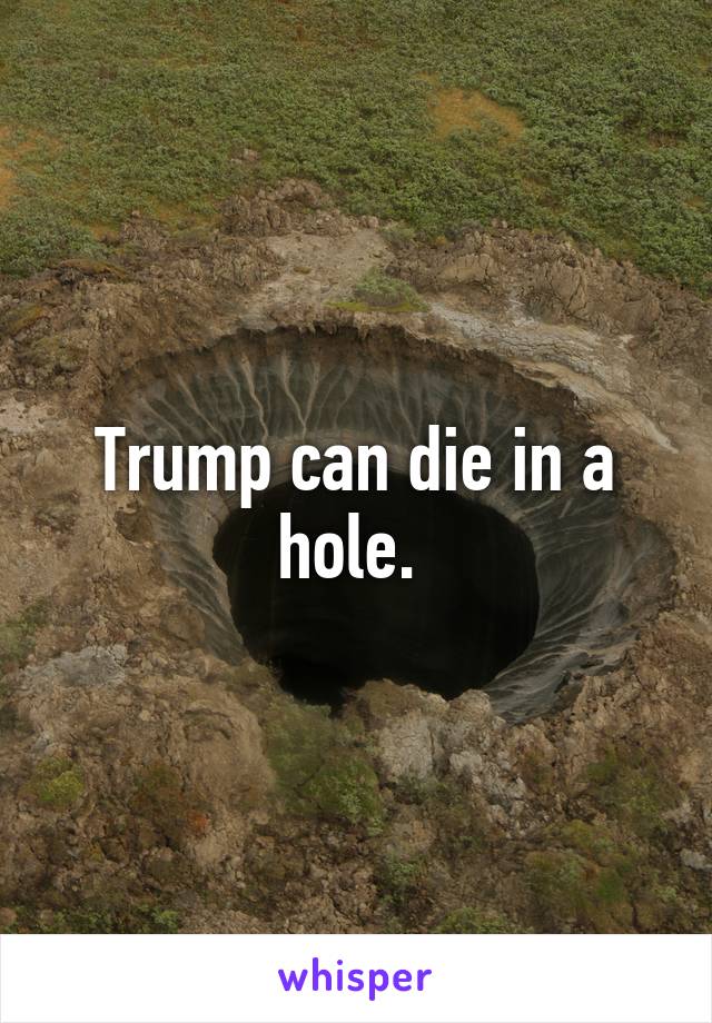 Trump can die in a hole. 