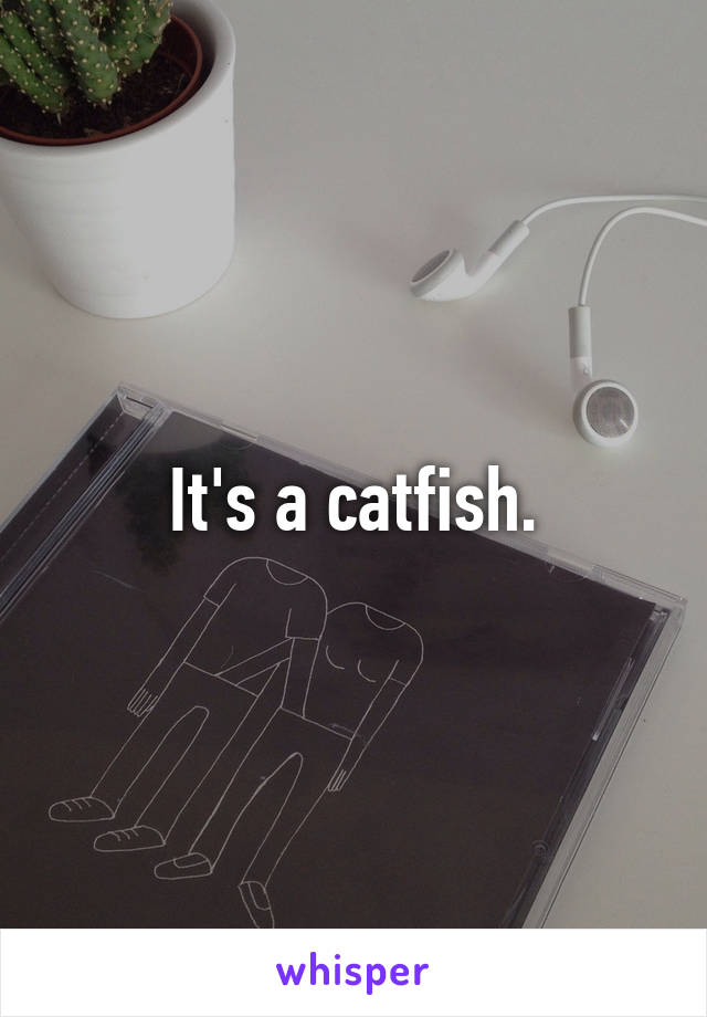 It's a catfish.