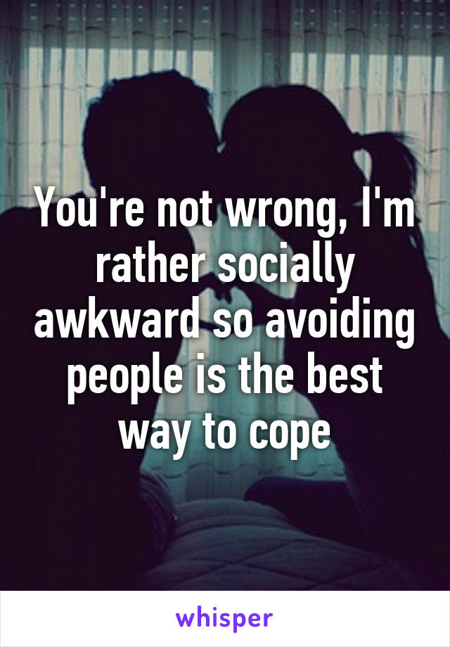 You're not wrong, I'm rather socially awkward so avoiding people is the best way to cope