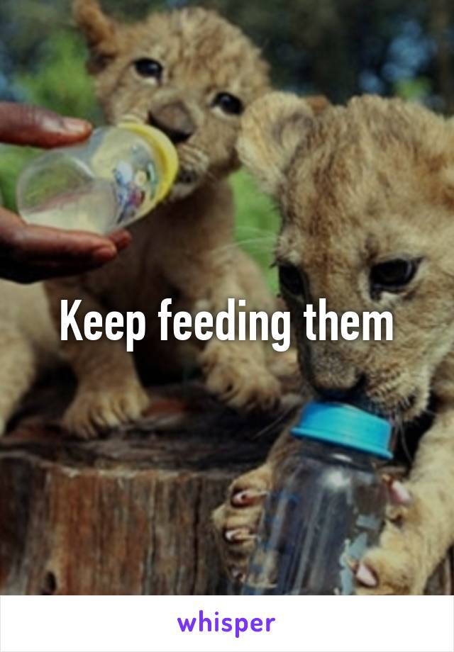 Keep feeding them