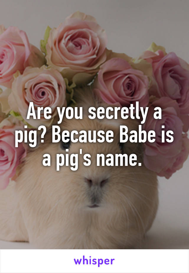 Are you secretly a pig? Because Babe is a pig's name. 