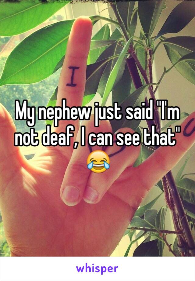My nephew just said "I'm not deaf, I can see that" ðŸ˜‚