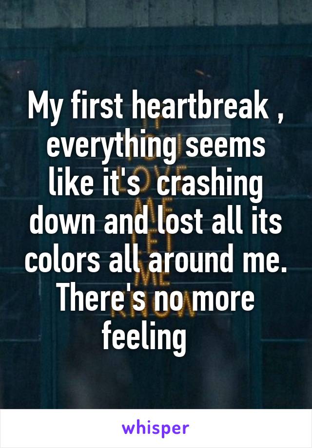 My first heartbreak , everything seems like it's  crashing down and lost all its colors all around me. There's no more feeling   