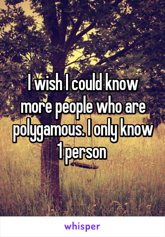 I wish I could know more people who are polygamous. I only know 1 person 
