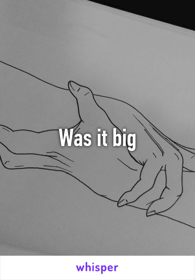 Was it big