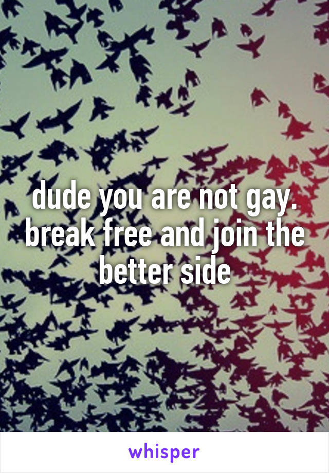 dude you are not gay. break free and join the better side