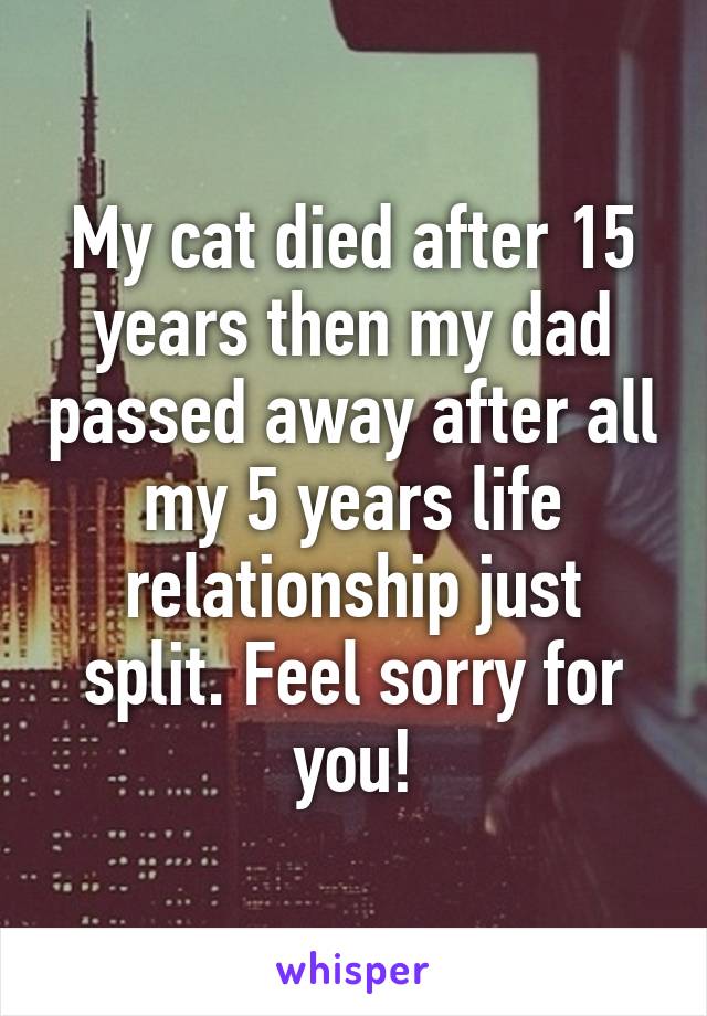 My cat died after 15 years then my dad passed away after all my 5 years life relationship just split. Feel sorry for you!