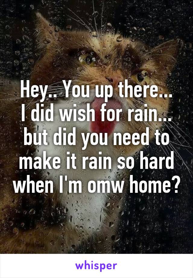 Hey.. You up there...
I did wish for rain... but did you need to make it rain so hard when I'm omw home?