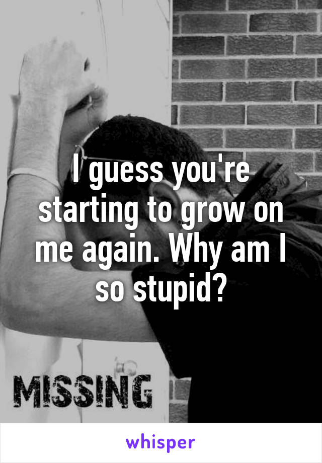 I guess you're starting to grow on me again. Why am I so stupid?