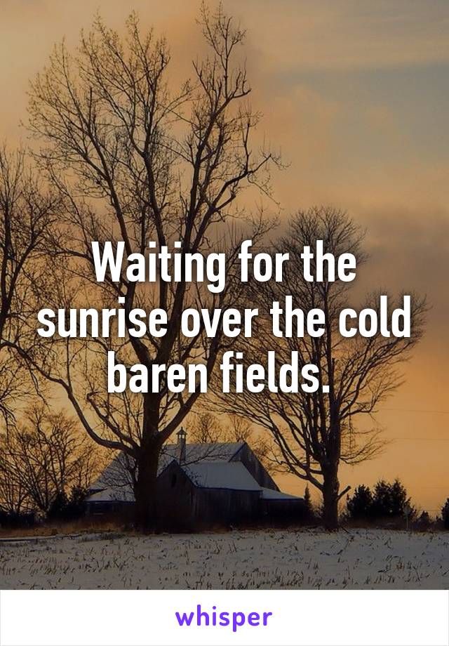 Waiting for the sunrise over the cold baren fields. 