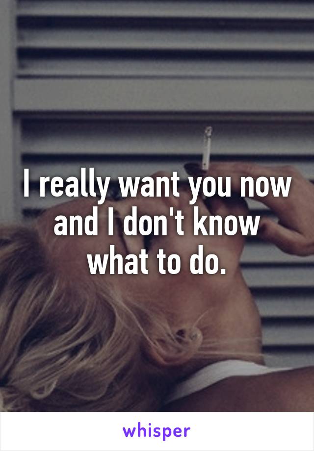 I really want you now and I don't know what to do.