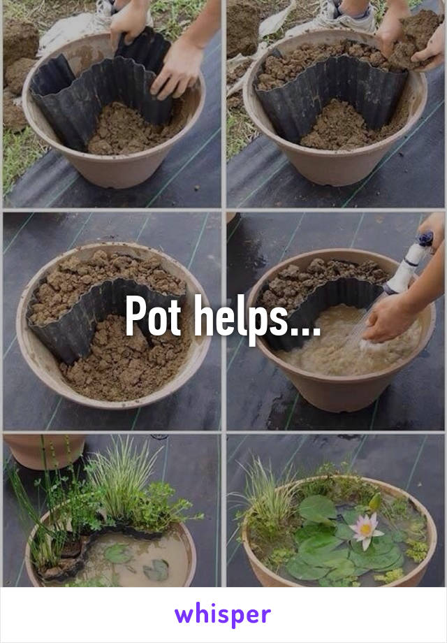 Pot helps...