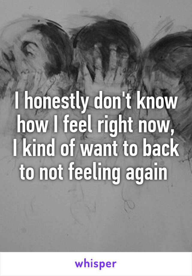 I honestly don't know how I feel right now, I kind of want to back to not feeling again 